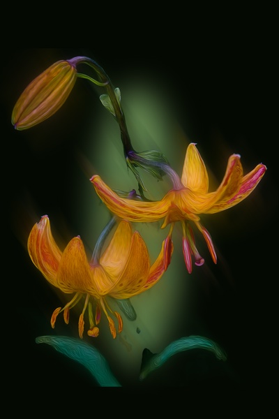 The Primal Flower