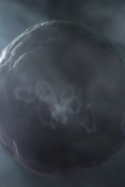 Cell to God - A Evolution LITRPG