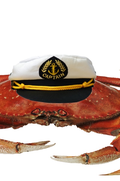 The last message under the sea, a short story