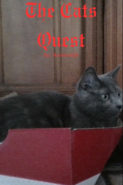 The Cats Quest