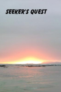 Seekers Quest (A Post Apocalypse LITRPG)