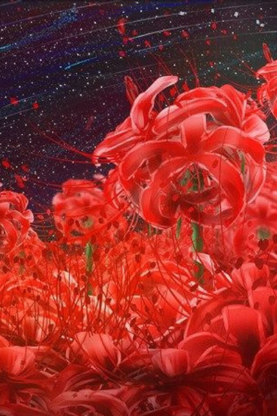 Hyperdimensional Game