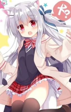 Actually, I turned into a girl with beast ears.