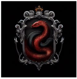 The Warrior of Passal