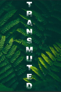 Transmuted