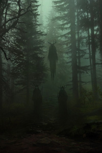 Backwood Infectious Water