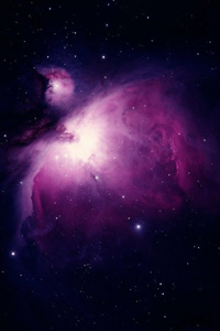 Fate's Fool: A LitRPG