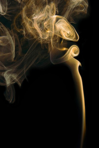 Your Local Librarians