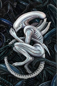 Evolution of the Twin Xenomorphs