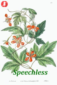 A Worldly Tale: Speechless