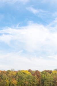 Sixth Form Ramblings