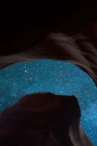 Primordial Path