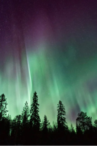 Ashes of the New World Book 1: The Divine World