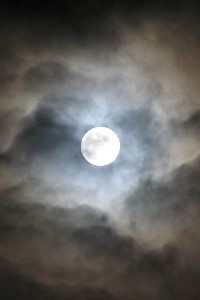 Searching for Salvation