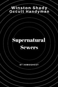 Winston Shady Occult Handyman Book 1