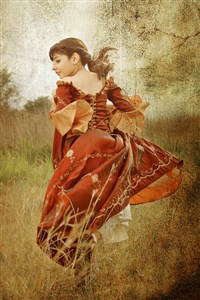 How to Kidnap your Princess