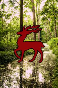 Red Stag's Trail