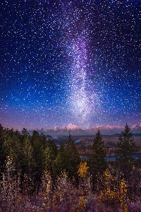 Re: Reader interactive