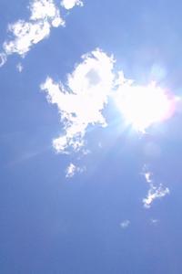 Down the Wishing Well