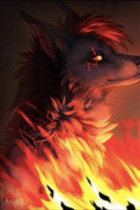 Paw Patrol: The mystery pup