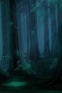 Apex Of The Forest