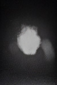 Rise of a Rogue Dungeon