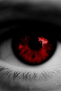 Vampire in the Harry Potter World(Hiatus)