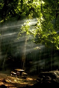 Endless Possibilities