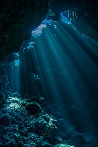 The Shifting Seas