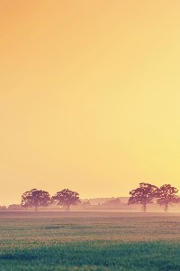 Residency in Paradise