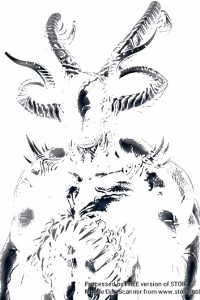 The science of magic(volume 1 the heretic )