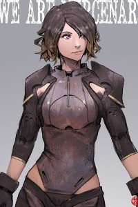 The Mercenary System