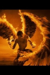 Rebirth of the Phoenix