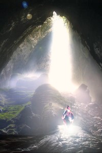 Insect Dungeon vs The World. (On Hiatus!)