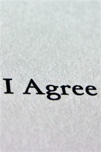 Ascendance of the Big Sister Monster Tamer