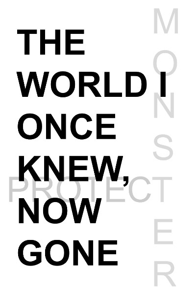 The World I Once Knew, Now Gone