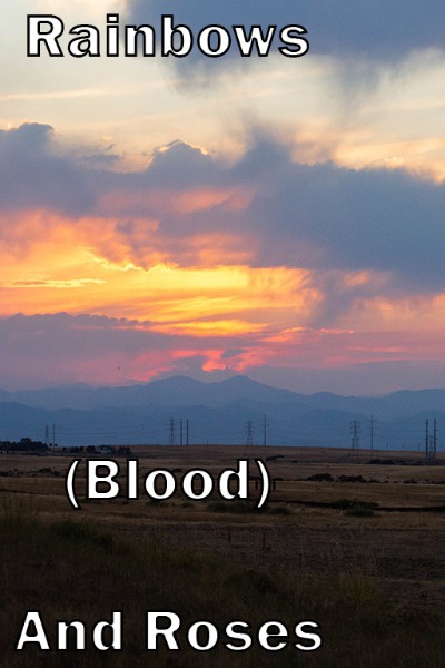 Rainbows (Blood) And Roses