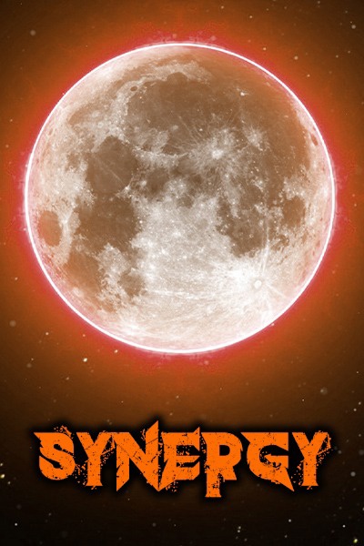 Synergy [Book 1 & 2]