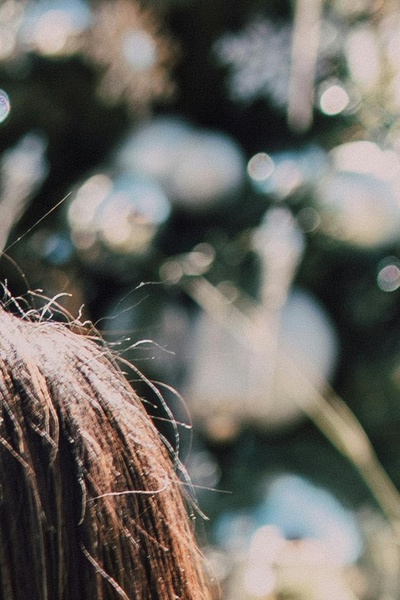 You Belong With Me Till the Year Ends