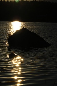 Velgason's Poetry Collection