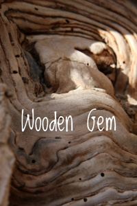 Wooden Gem