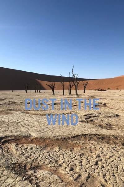 Dust in the Wind