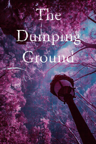 The Dumping Ground
