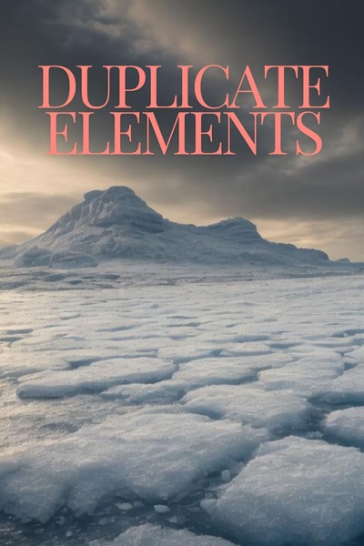 Duplicate Elements