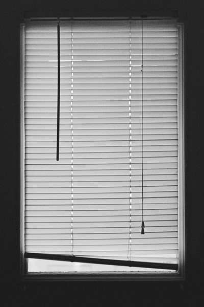 Shut-in Loser Forced Into Another World