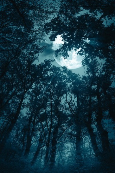 THE ONE WHO COME BACK FROM HELL: THE RISE OF FORGETTING-