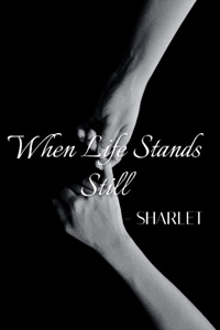 When Life Stands Still (bxb)